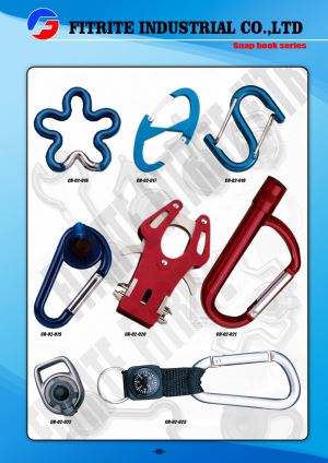 Wholesale High Quality Aluminum Carabiner for Handbag/Backpack/Rigging