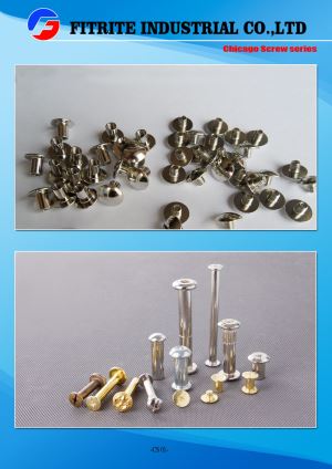 Wholesale High Quality Solid Brass Chicago Screw for Handbag/Belt